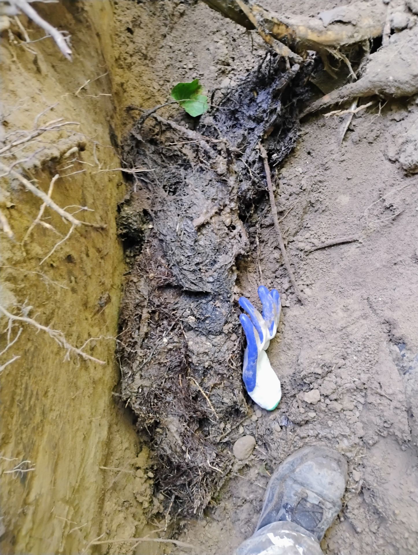 574300256_817652384457024_1784667328508089420_n-1